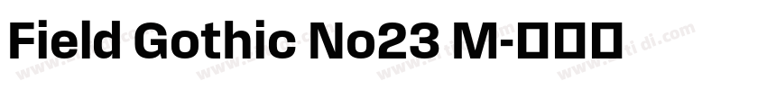 Field Gothic No23 M字体转换